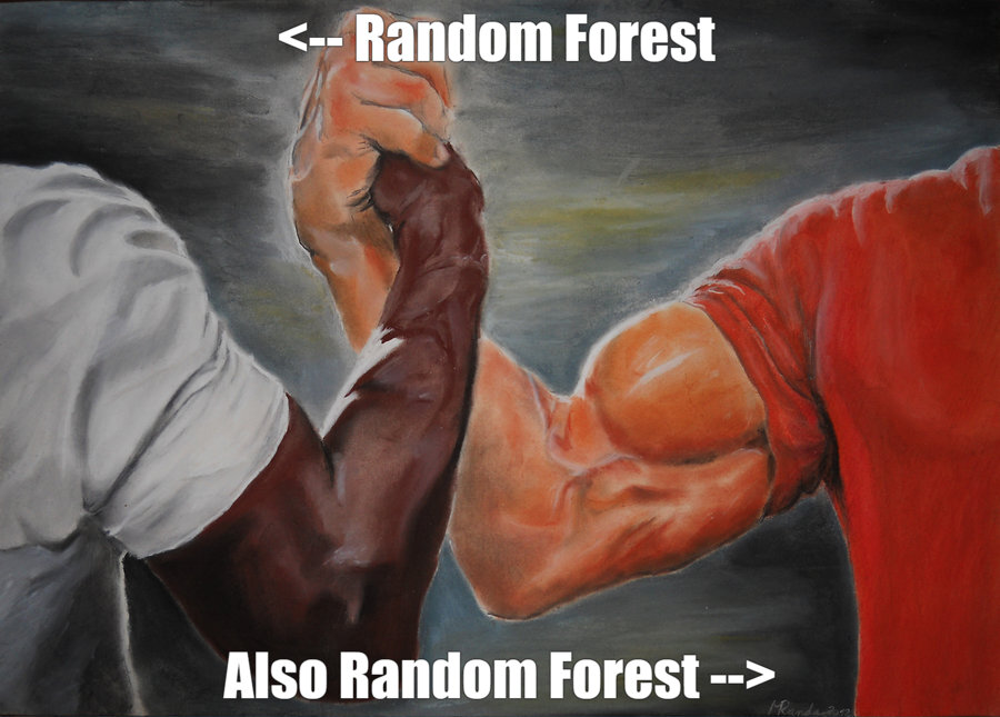 biceps, both random forests